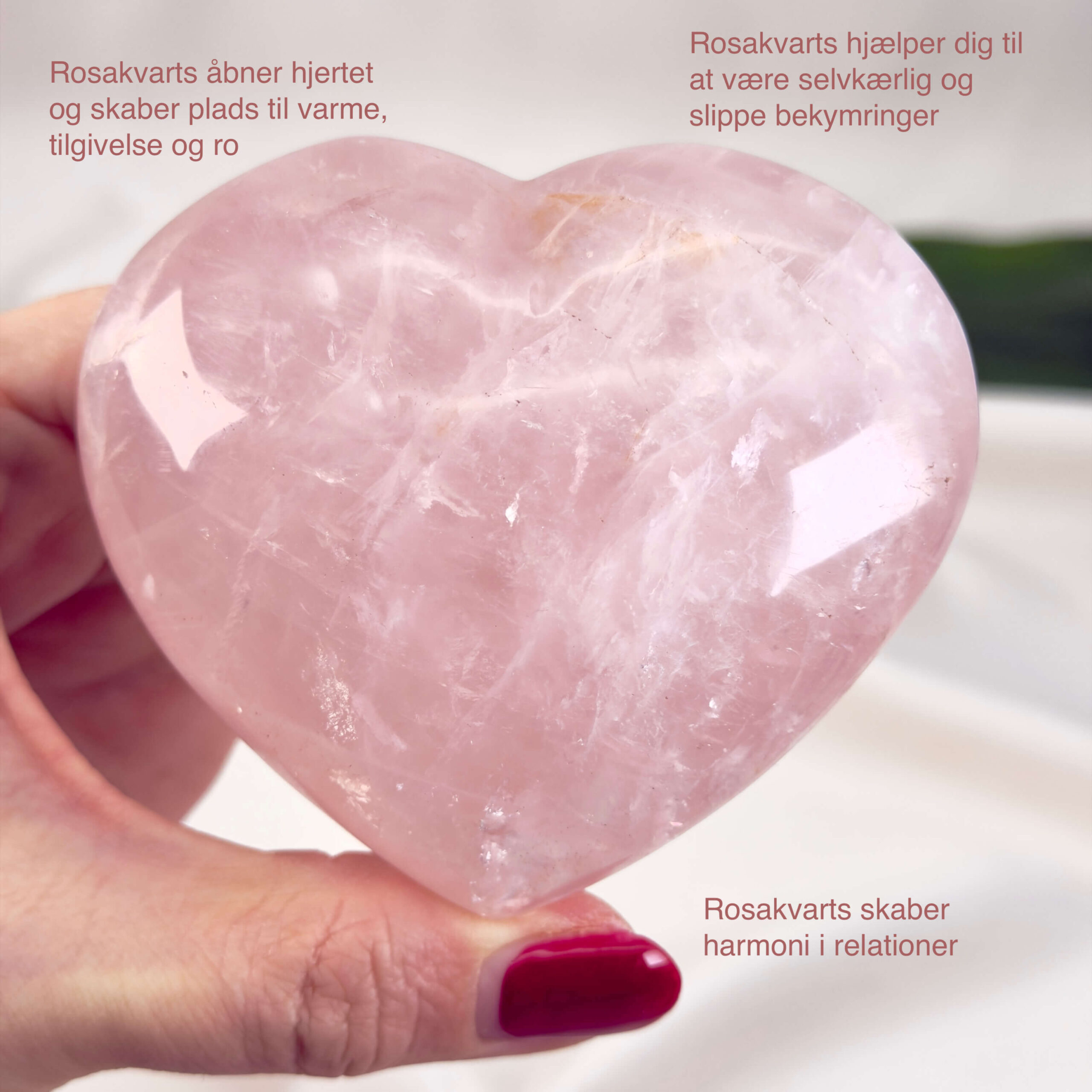 Rosakvarts Hjerte Krystal Sten på hvid baggrund i hånd med tags