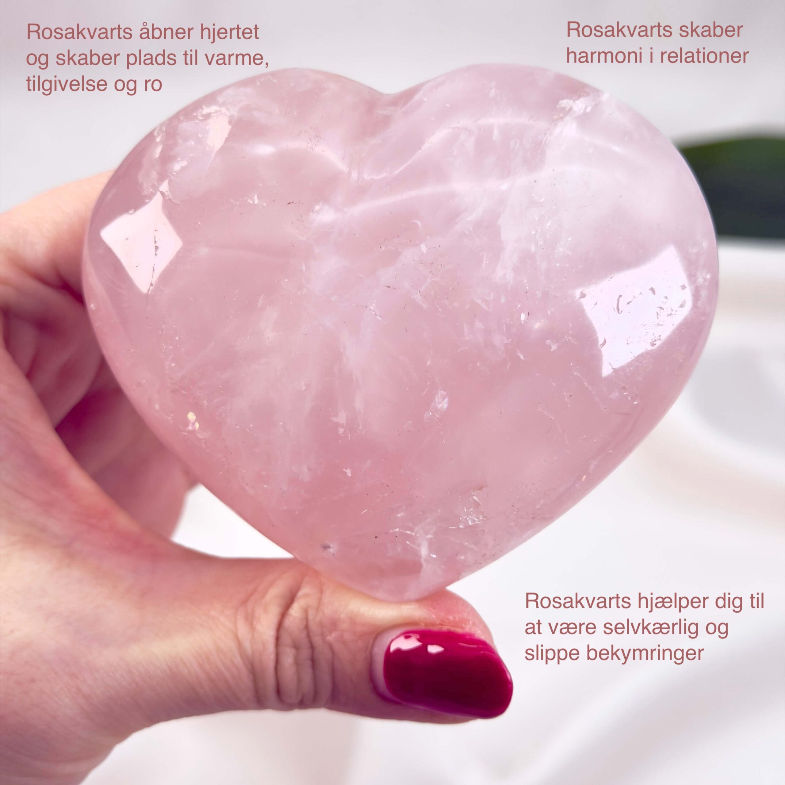 Rosakvarts Hjerte Krystal Sten på hvid baggrund i hånd med tags