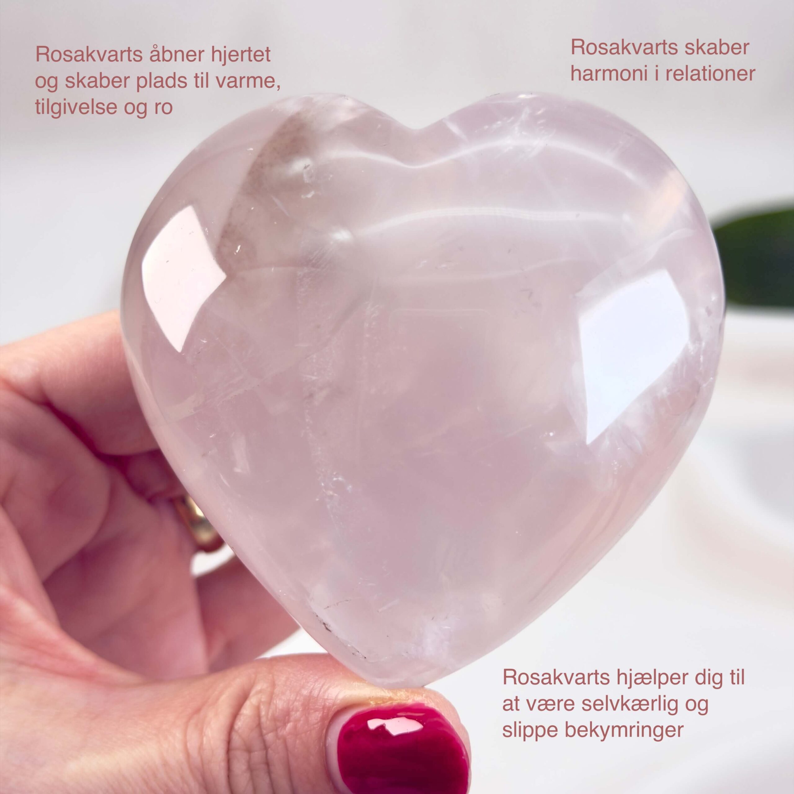 Rosakvarts Hjerte Krystal Sten på hvid baggrund i hånd med tags