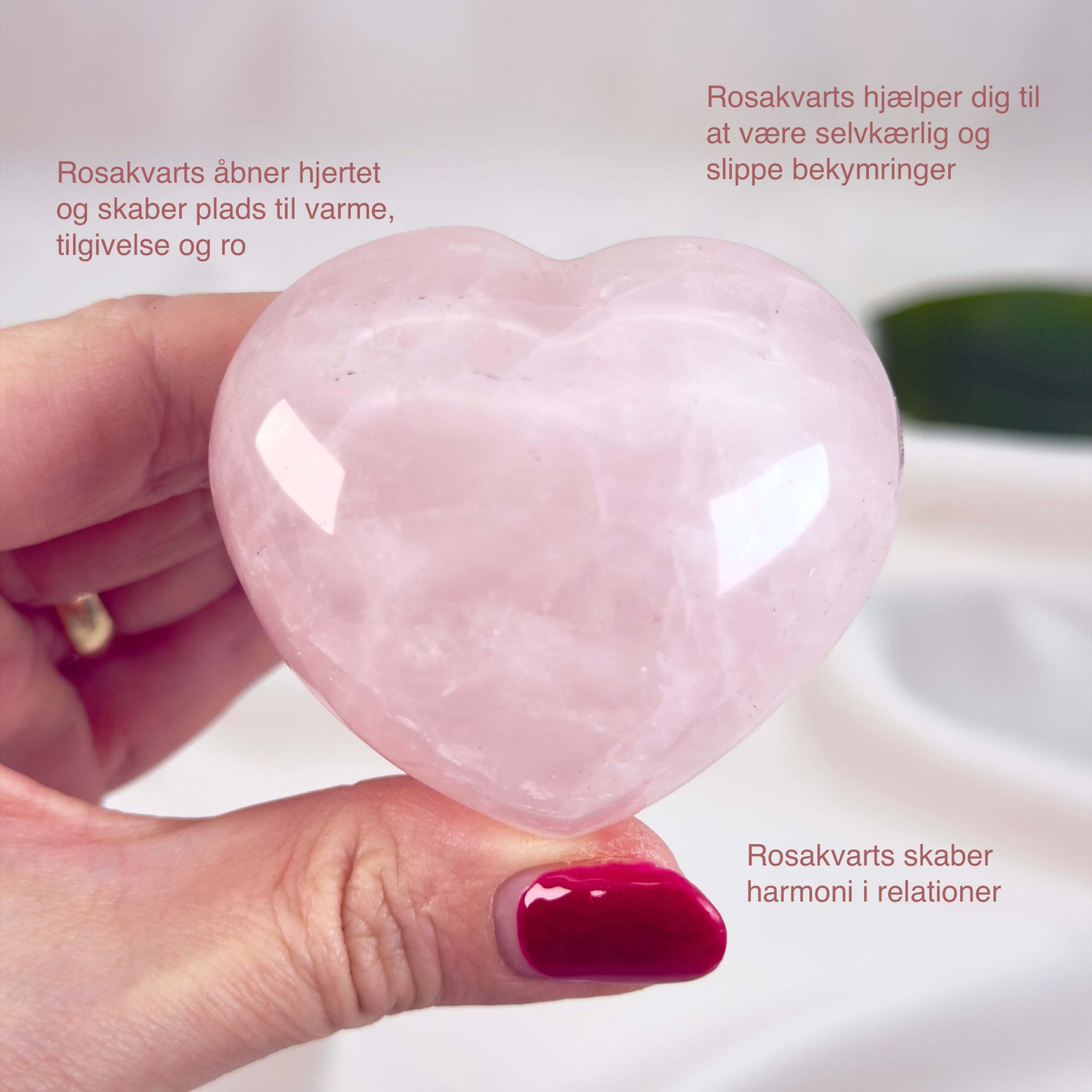 Rosakvarts Hjerte Krystal Sten på hvid baggrund i hånd med tags