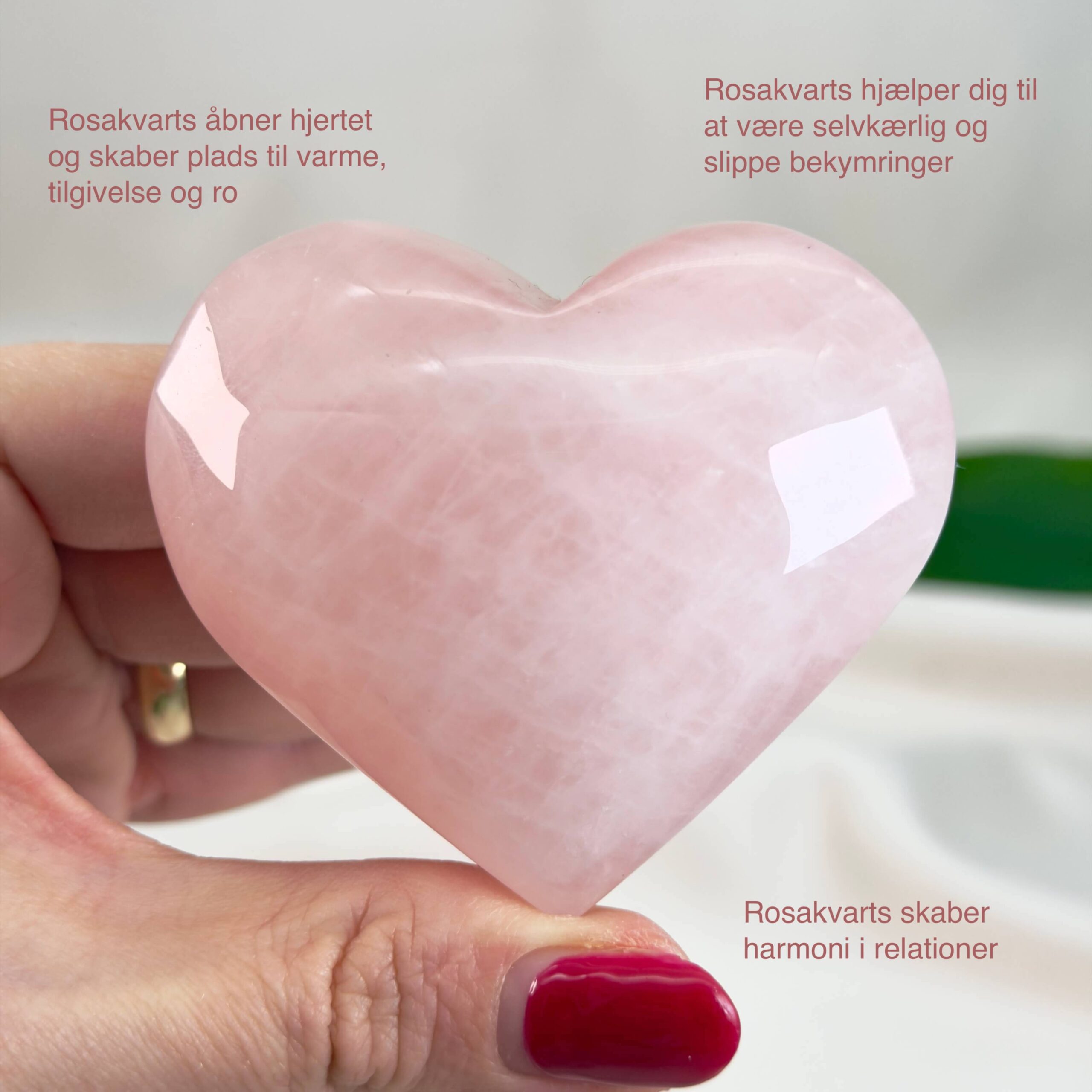 Rosakvarts Hjerte Krystal Sten på hvid baggrund i hånd med tags
