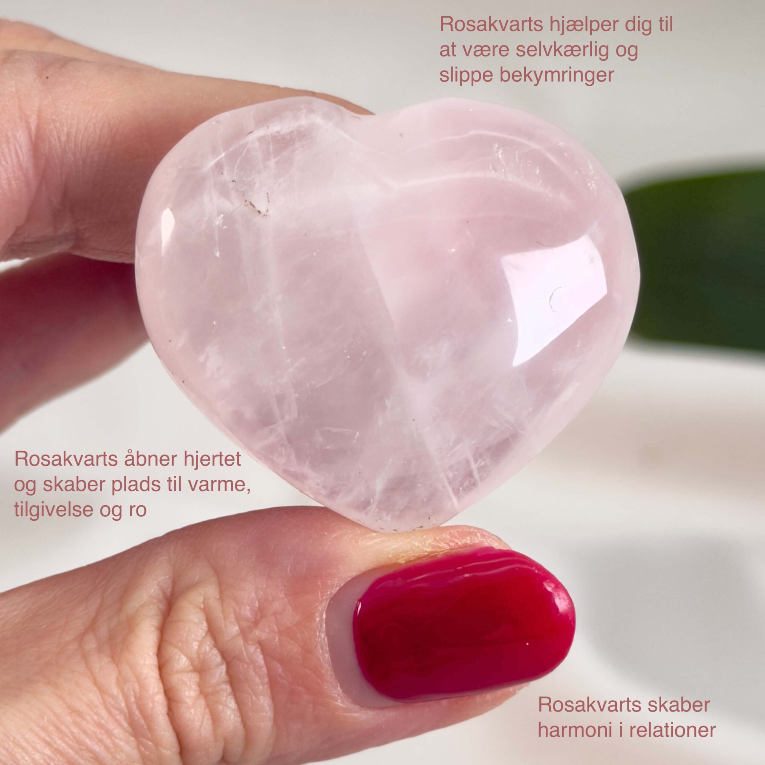 Rosakvarts Hjerte Krystal Sten på hvid baggrund i hånd med tags