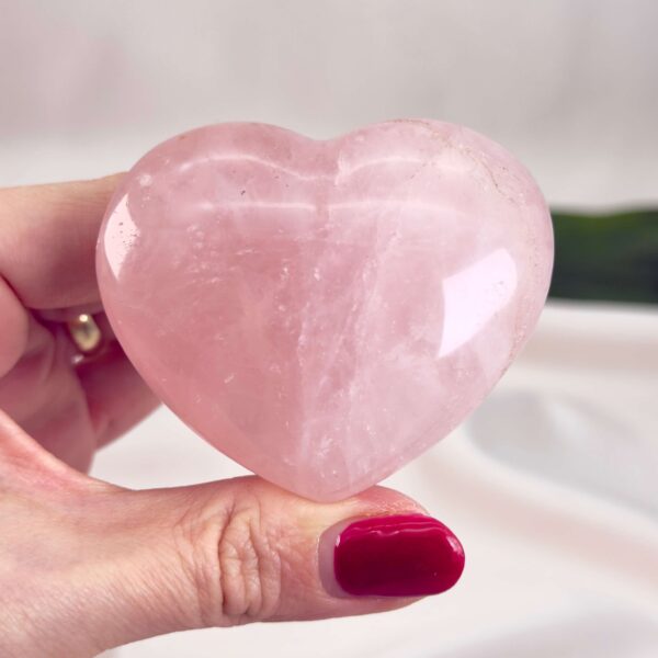 Rosakvarts Hjerte Krystal Sten på hvid baggrund i hånd