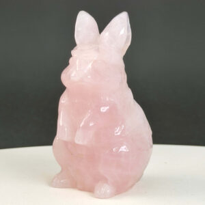 Rosakvarts Kanin krystal sten på sort baggrund