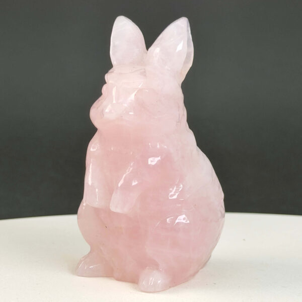 Rosakvarts Kanin krystal sten på sort baggrund