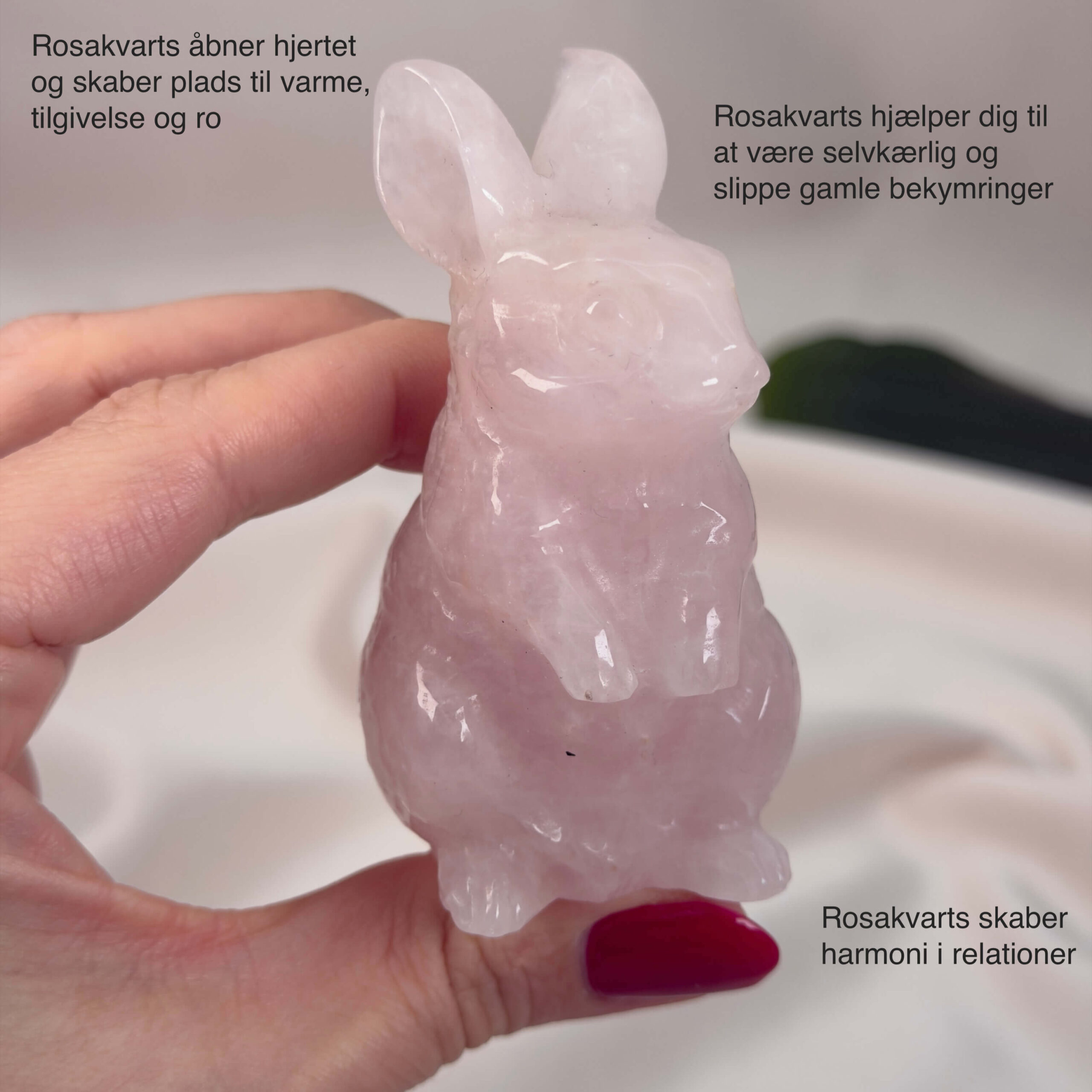 Rosakvarts Kanin krystal sten i hånd på hvid baggrund med tags