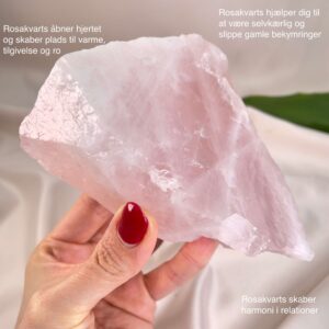 Rosakvarts Rå krystal sten i hånd på hvid baggrund med tags