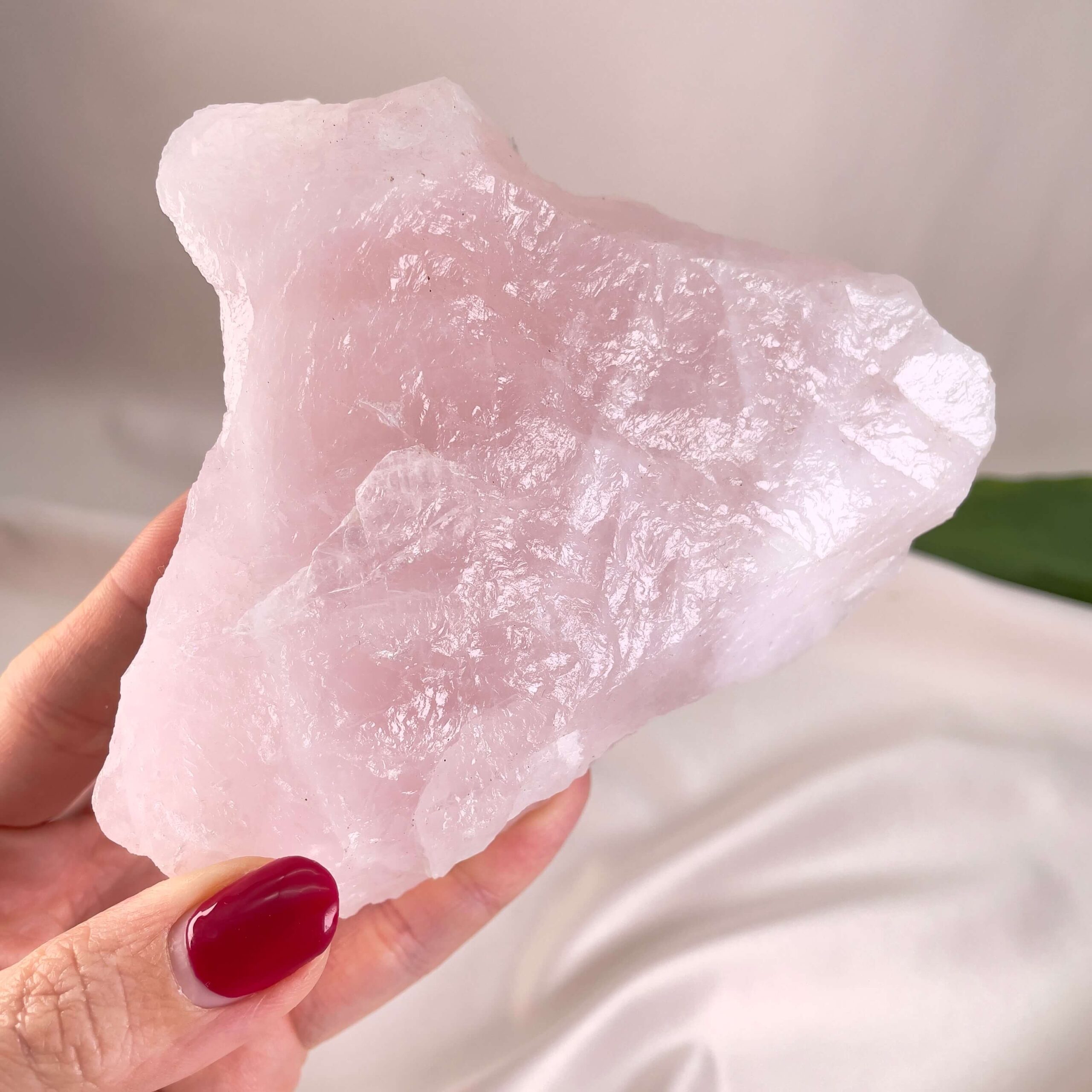 Rosakvarts Rå krystal sten i hånd på hvid baggrund