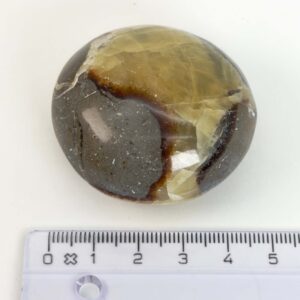 Septarie Håndsten med glat, poleret overflade, varme jordfarver og naturlige gyldne mønstre, der gør hver krystal helt unik.