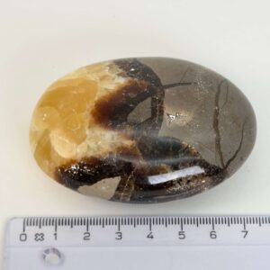 Septarie Håndsten med glat, poleret overflade, varme jordfarver og naturlige gyldne mønstre, der gør hver krystal helt unik.