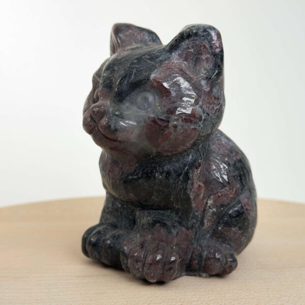 Granat kat med dybrøde nuancer, der symboliserer styrke, energi, grounding og personlig udvikling.