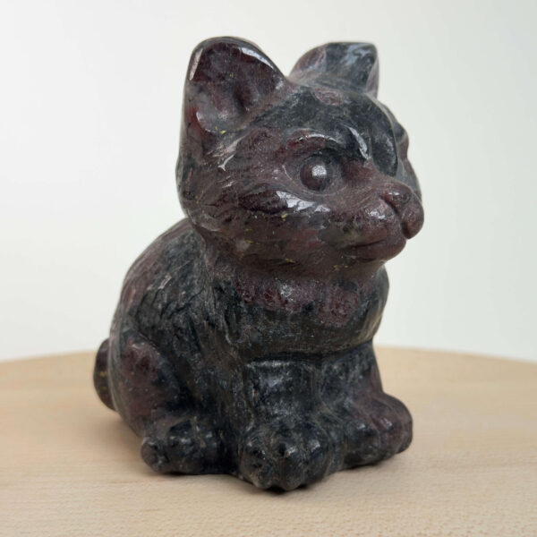 Granat kat med dybrøde nuancer, der symboliserer styrke, energi, grounding og personlig udvikling.