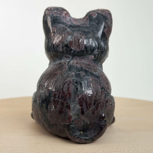 Granat kat med dybrøde nuancer, der symboliserer styrke, energi, grounding og personlig udvikling.