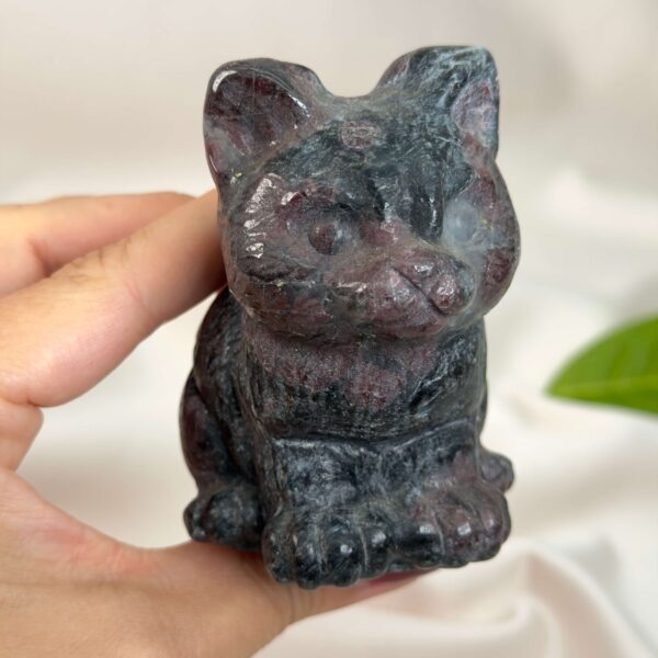 Granat kat med dybrøde nuancer, der symboliserer styrke, energi, grounding og personlig udvikling.