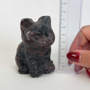 Granat kat med dybrøde nuancer, der symboliserer styrke, energi, grounding og personlig udvikling.