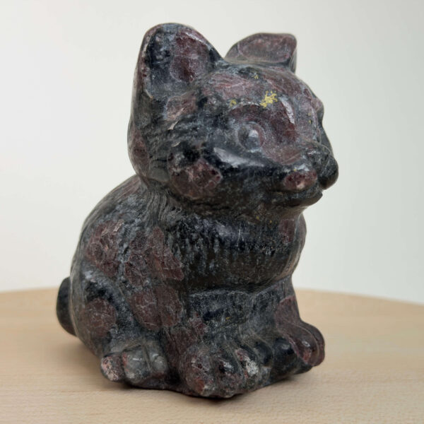 Granat kat med dybrøde nuancer, der symboliserer styrke, energi, grounding og personlig udvikling.