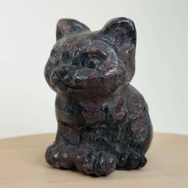 Granat kat med dybrøde nuancer, der symboliserer styrke, energi, grounding og personlig udvikling.