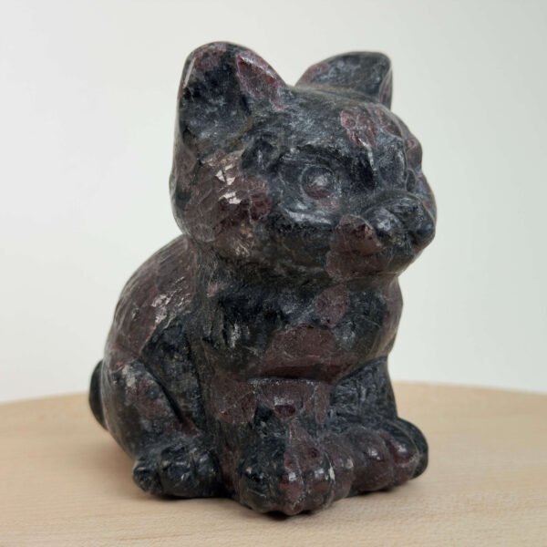 Granat kat med dybrøde nuancer, der symboliserer styrke, energi, grounding og personlig udvikling.
