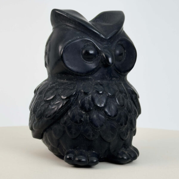 Sort Obsidian Ugle i dybsort krystal med symbolik for visdom, intuition, beskyttelse, grounding og indre styrke.